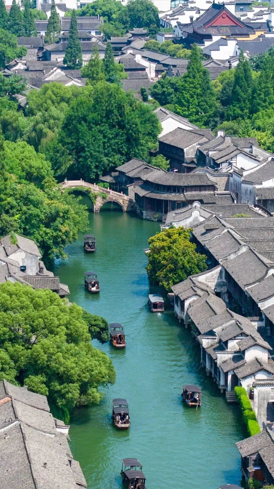 桐乡,全国首个!