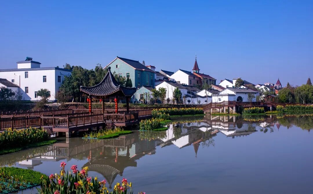 "打水漂"的飞鸟,在桐乡安家!