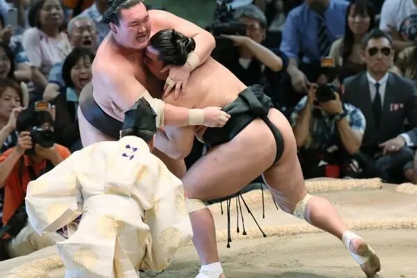 日本嫩模和空姐為何愛找比自己重0斤 只能活到57歲的胖子結婚 東京新青年 微文庫