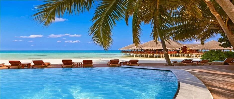 2020年第三季度全国旅行社统计调查报告