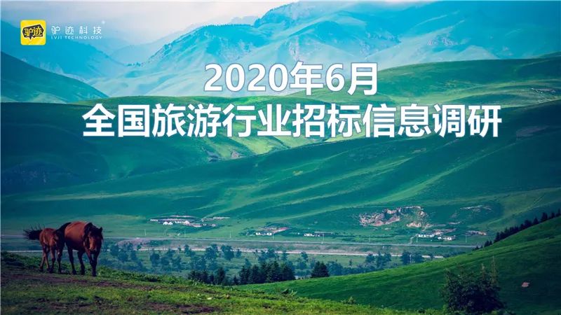 2020年6月全國旅遊行業招標資訊調研 旅遊 第2張