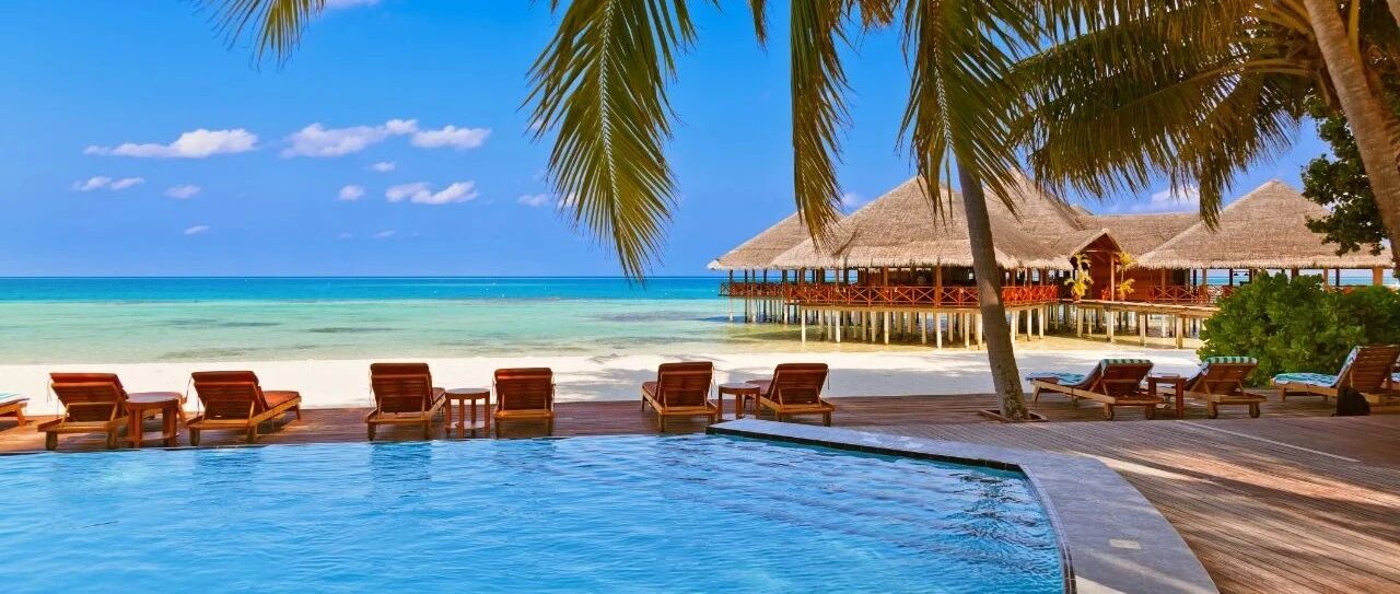 2020年第二季度全国旅行社统计调查报告