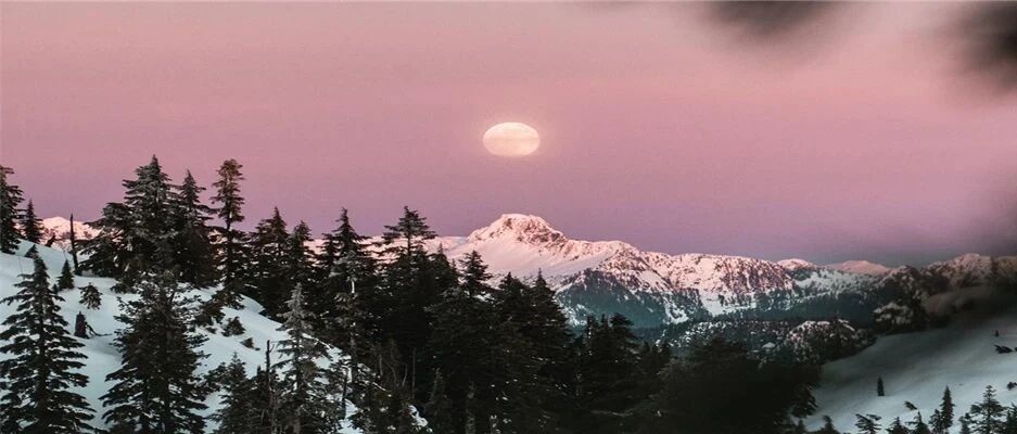 2020年第三季度在线旅游资产指数报告