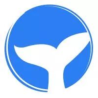 成都小鲲网络科技有限公司