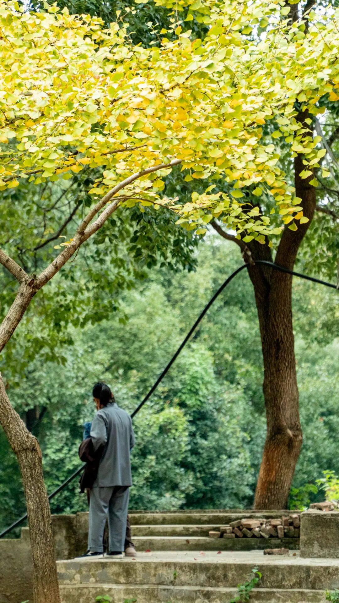 3��2����������Ȫ�¡�����