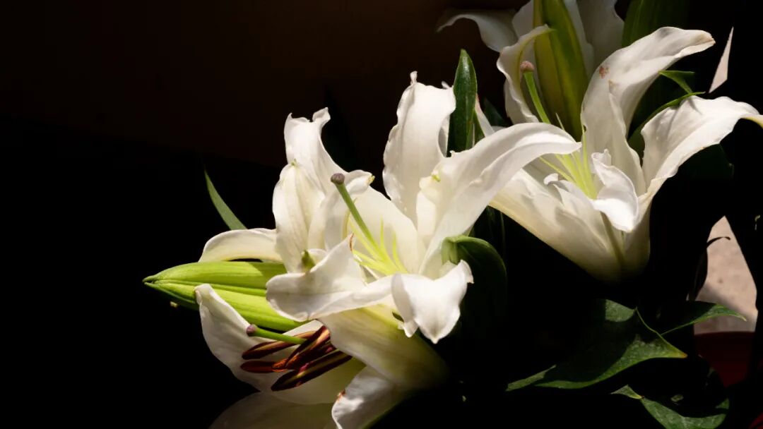 3��2����������Ȫ�¡�����