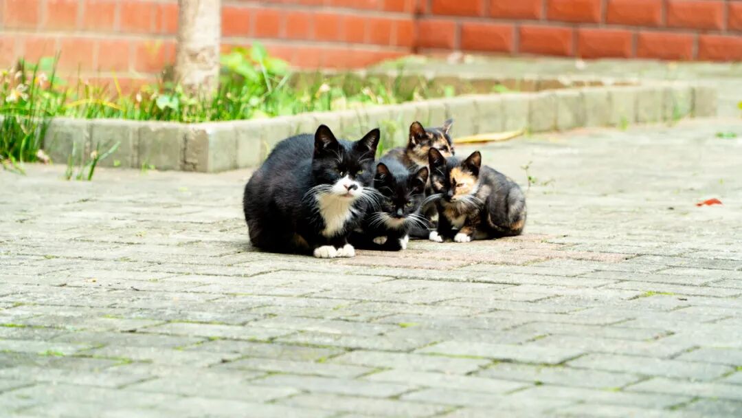 3��2����������Ȫ�¡�����