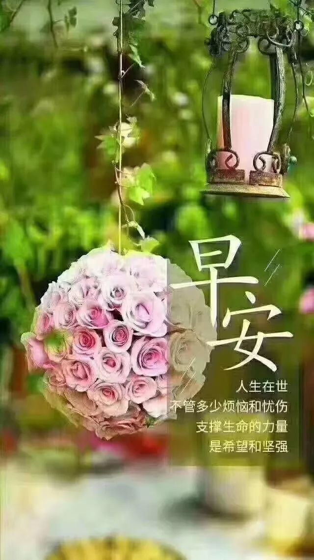 积极正能量语录_微信早安正能量语录_积极正能量早安语录