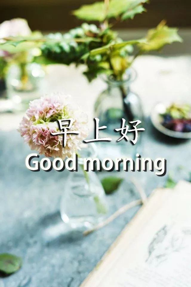 积极正能量早安语录_微信早安正能量语录_积极正能量语录