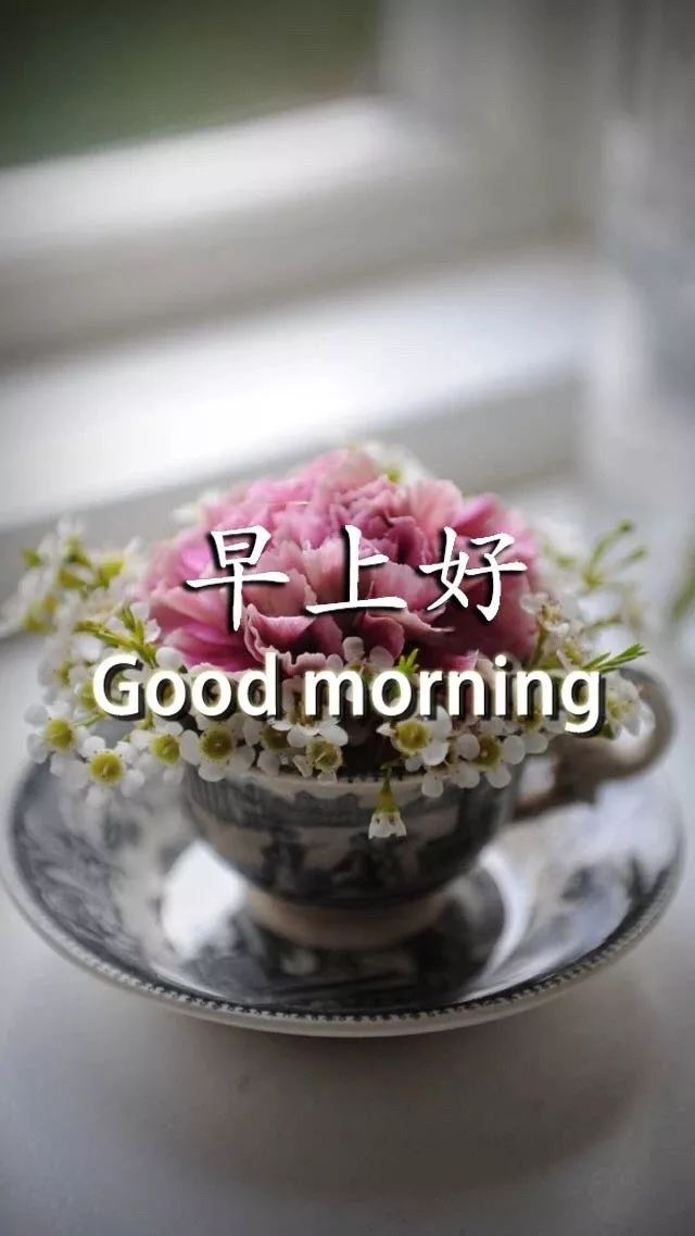 积极正能量早安语录_积极正能量语录_微信早安正能量语录