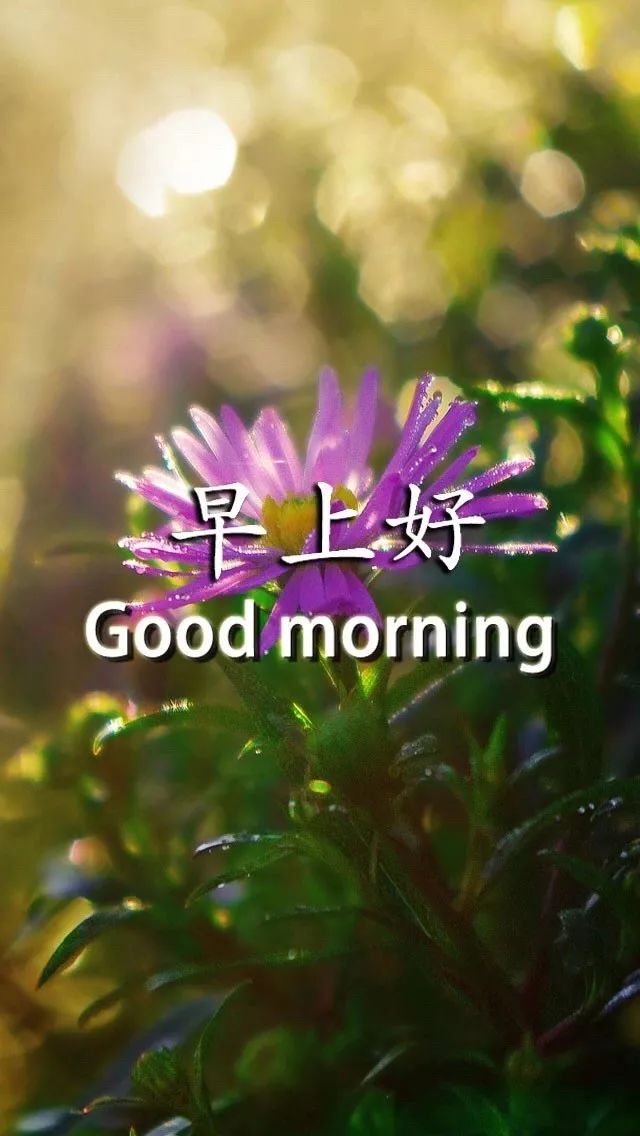 积极正能量语录_积极正能量早安语录_微信早安正能量语录