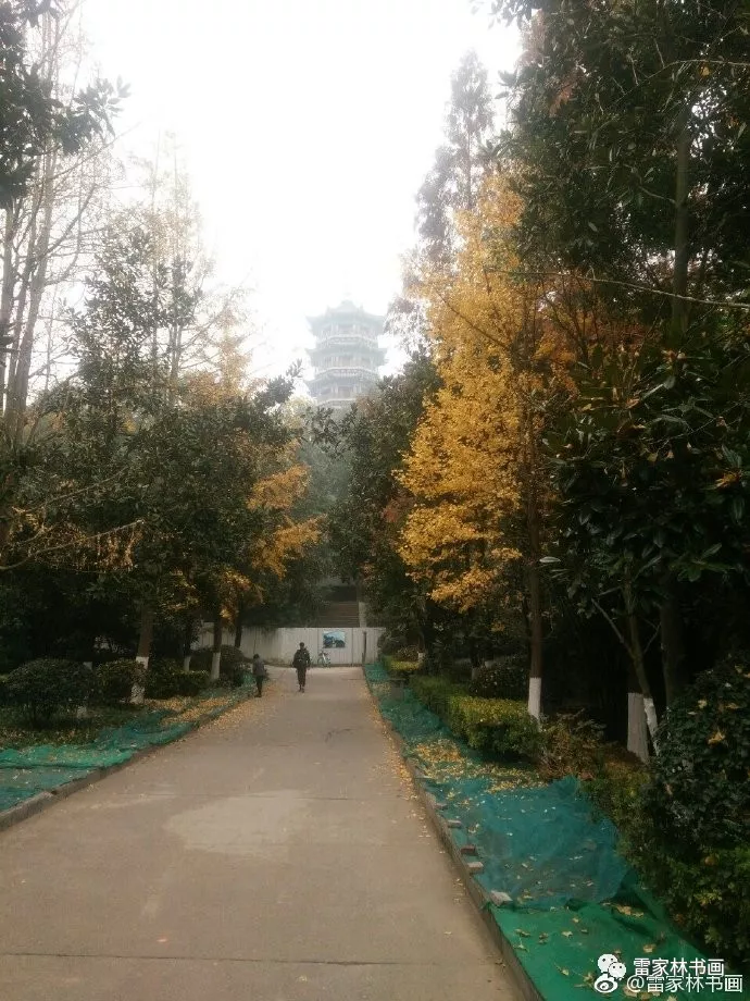 皇宫、王府、胡同、太平街,桃花源 皇宫、王府、胡同、太平街,桃花源