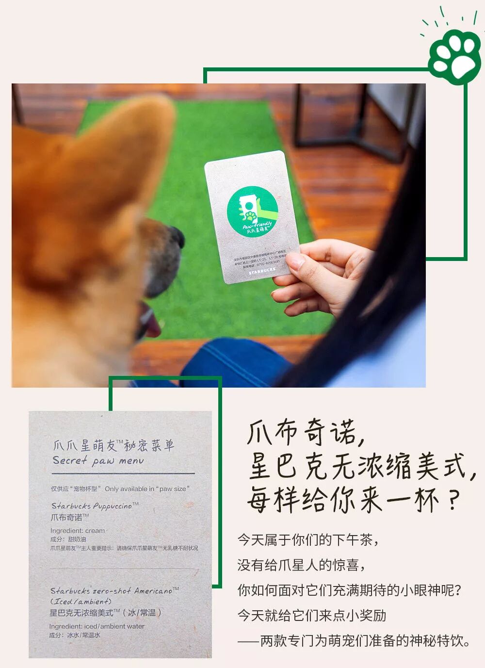带你的爪爪家人来约会 远方的诗意也可以在身旁 星巴克中国微信公众号文章