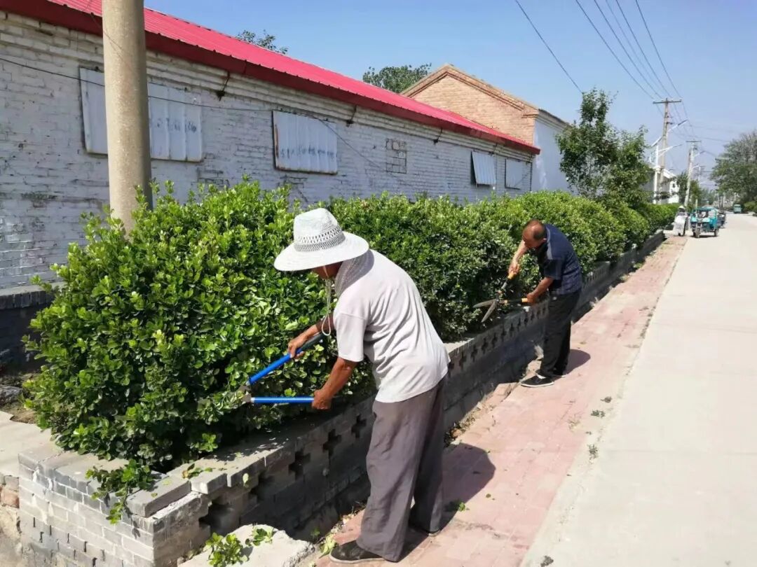 【五清五净两提升】胡官屯镇加强人居环境整治 打造美丽宜居乡村-美丽