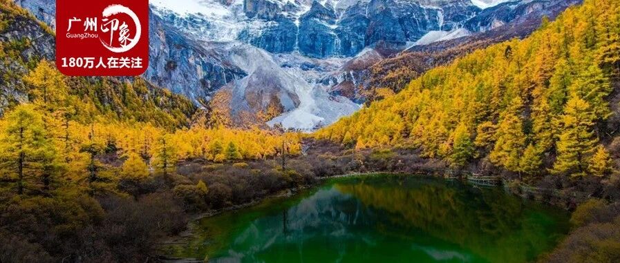 ​12月机票低至100+！飞去四川看丁真吧！