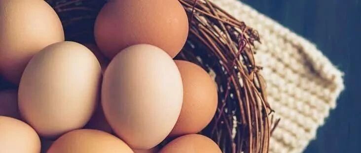 蛋白，全蛋，蛋黄，谁的“能力”最强?看完这篇你就懂了~