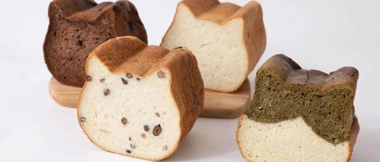 萌翻整个吐司圈！爆红猫咪、兔子齐齐到来！