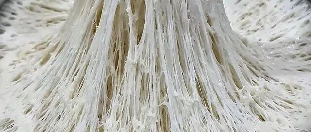 解密发酵种 | 多花5天自制啤酒花种面包