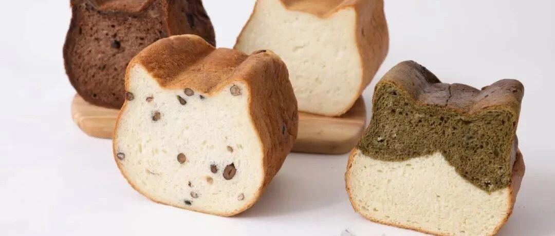 日网爆红的“猫咪吐司”，它真的来了！