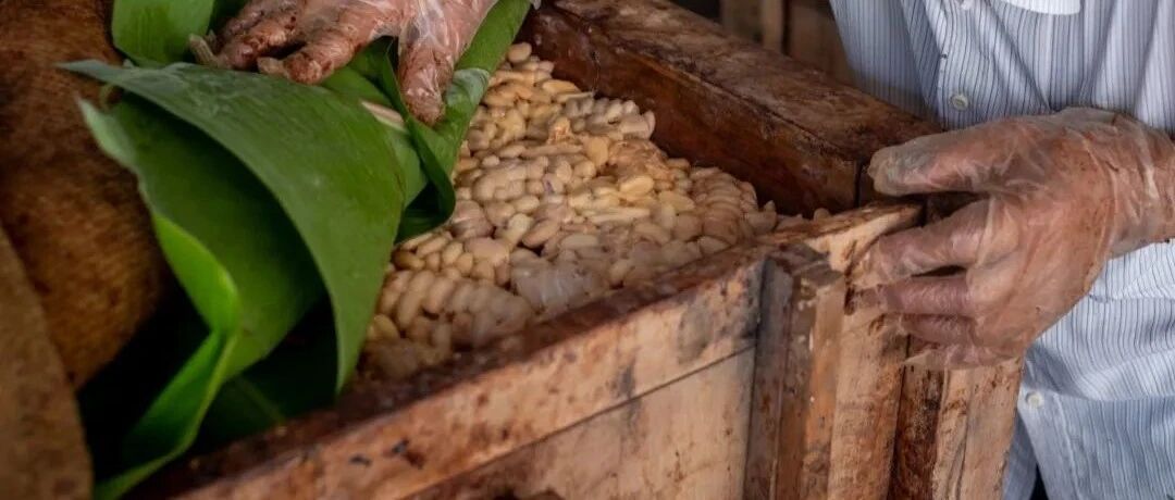 惊了，没看过这篇文章的人真算不上了解巧克力！