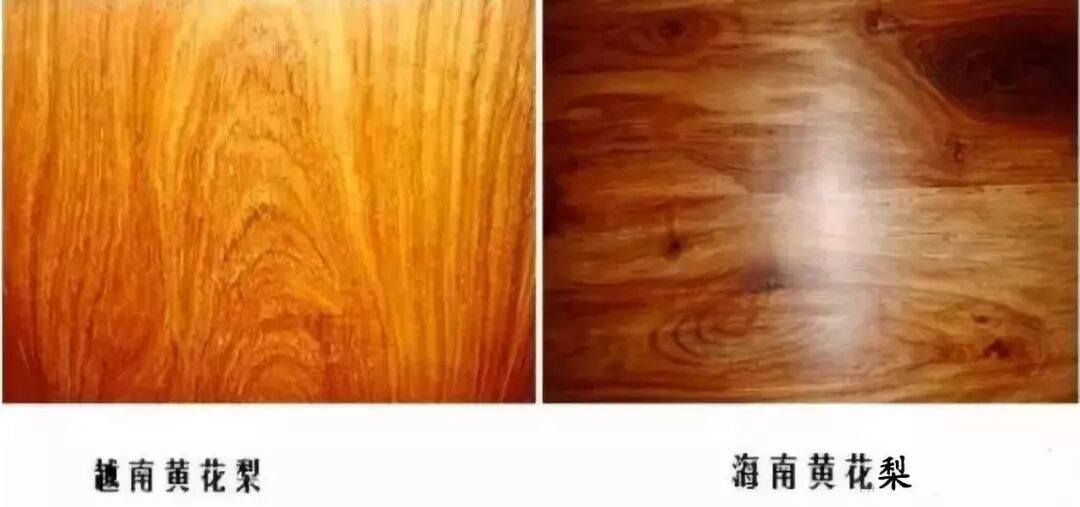 红木界“撞名”排行榜上的“五对敌手”，你中招了吗？