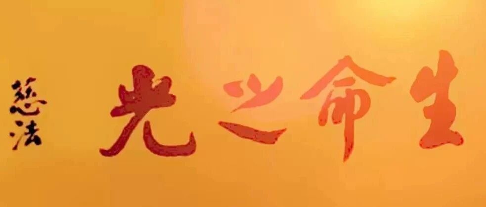 cover_image