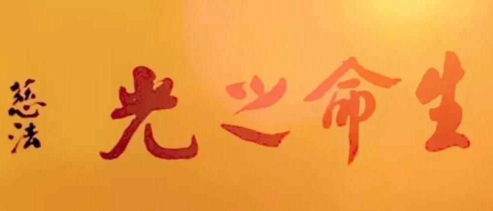 cover_image