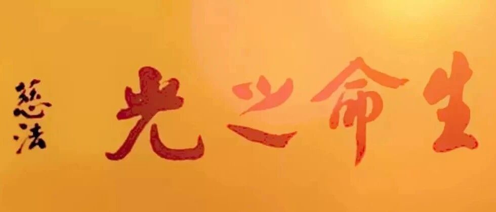 cover_image
