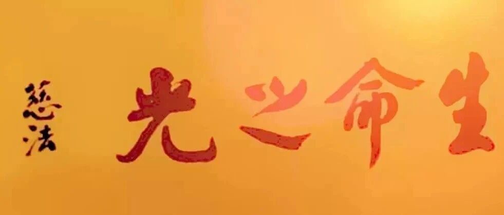 cover_image