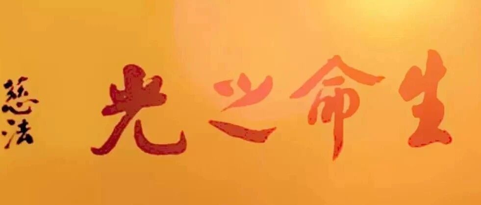 cover_image