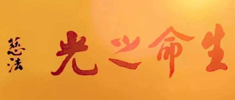 cover_image