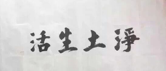 cover_image