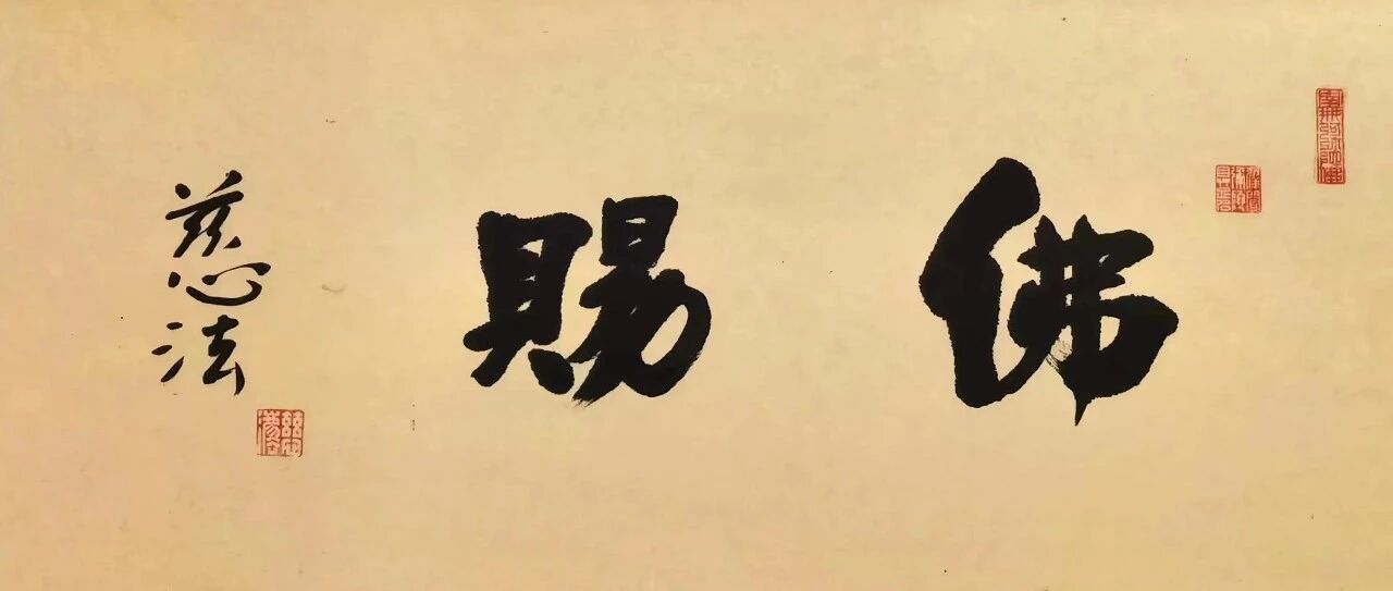 cover_image