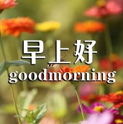 微信公众号早安晚安问候语录 Qqee 最新文章 微信公众号文章阅读 Wemp