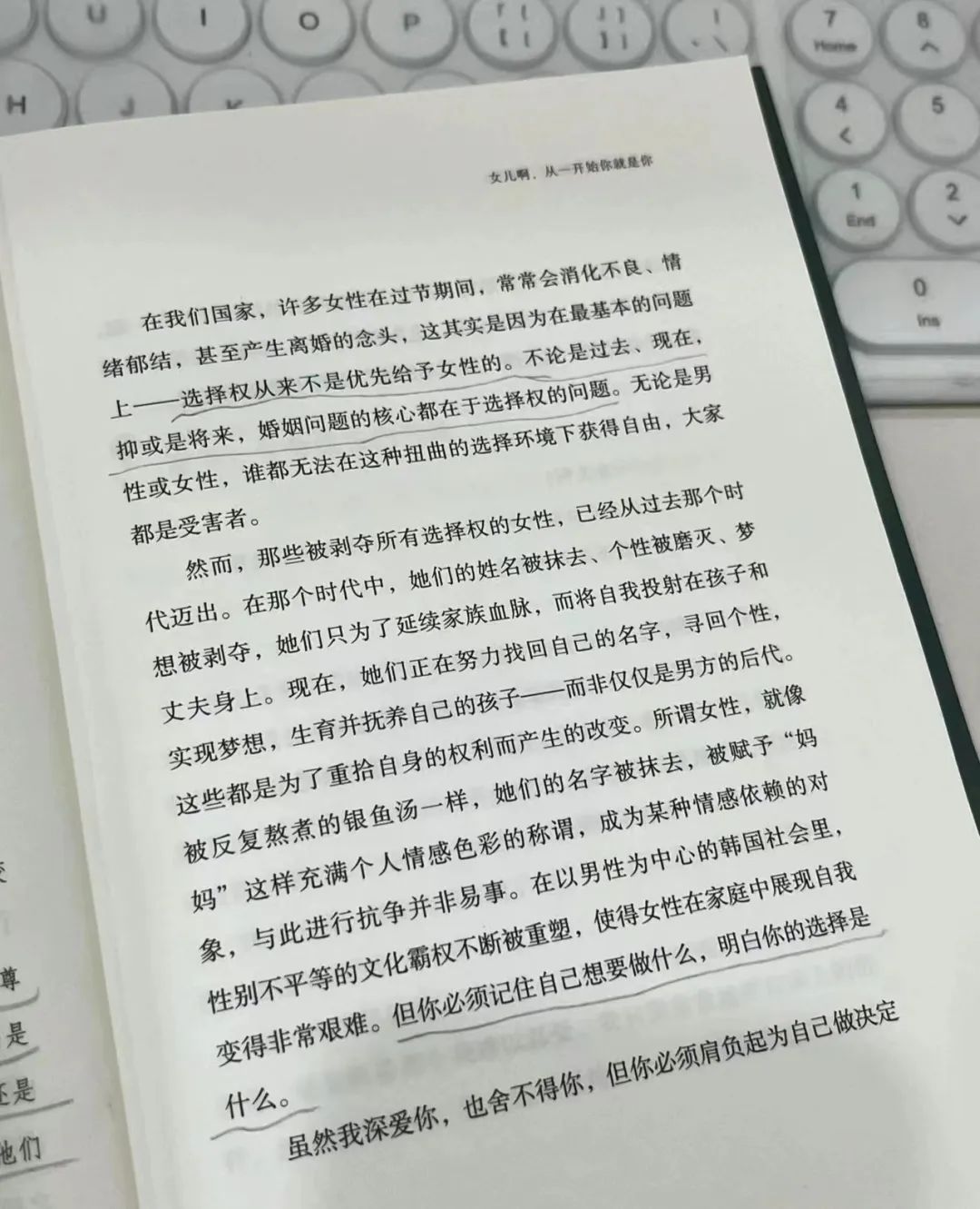 刘亦菲一部剧带火了5个人