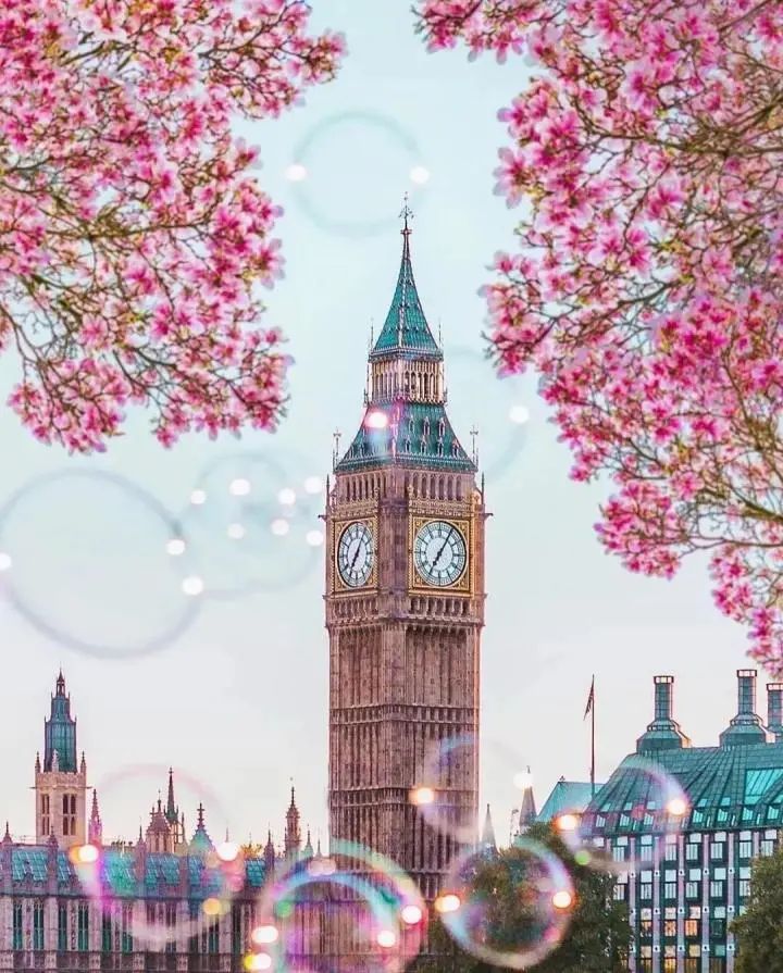 最美櫻花季來襲！倫敦最佳賞櫻地點都在這了！錯過等一年！
