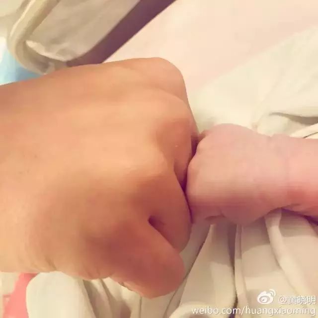 1484812440938427.jpg 連懷孕街拍也漂亮,Angelababy美出了新高度!