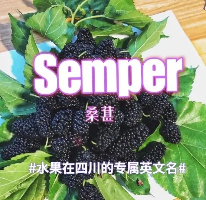 看颜色,完全成熟的桑葚是紫黑色的.1.