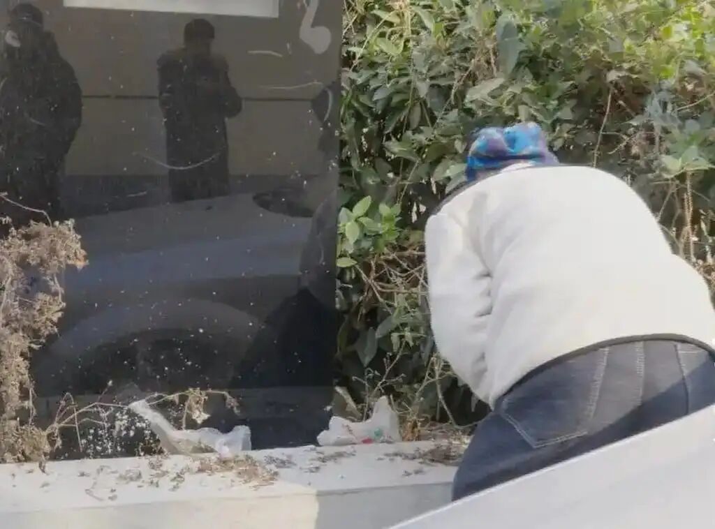 Local residents who provided water and dog food grew concerned when Ah Wang refused to eat or drink and went missing, prompting them to search everywhere for it. Photo: QQ.com