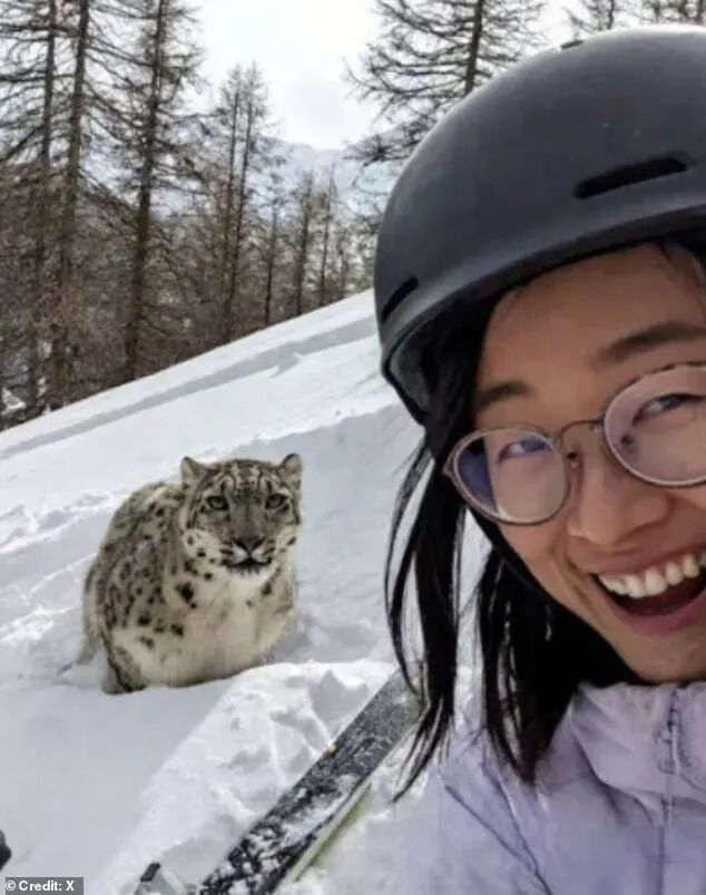 This is the chilling selfie a skiing tourist took with a rare snow leopard just moments before it mauled her face