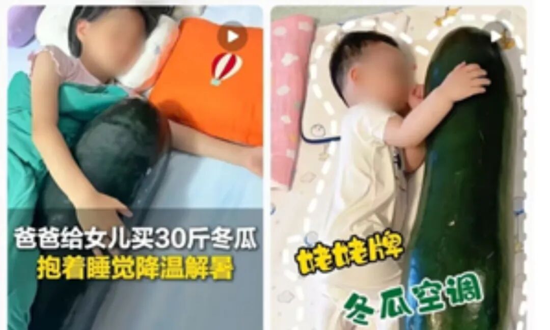 Photo: Screenshot from CNR report