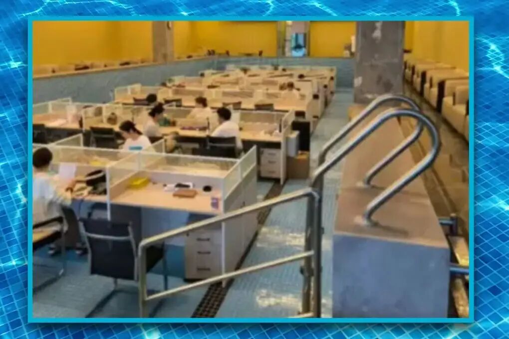 A company in China converted a swimming pool into an office, triggering an official safety investigation. Photo: SCMP composite/Shutterstock/Douyin