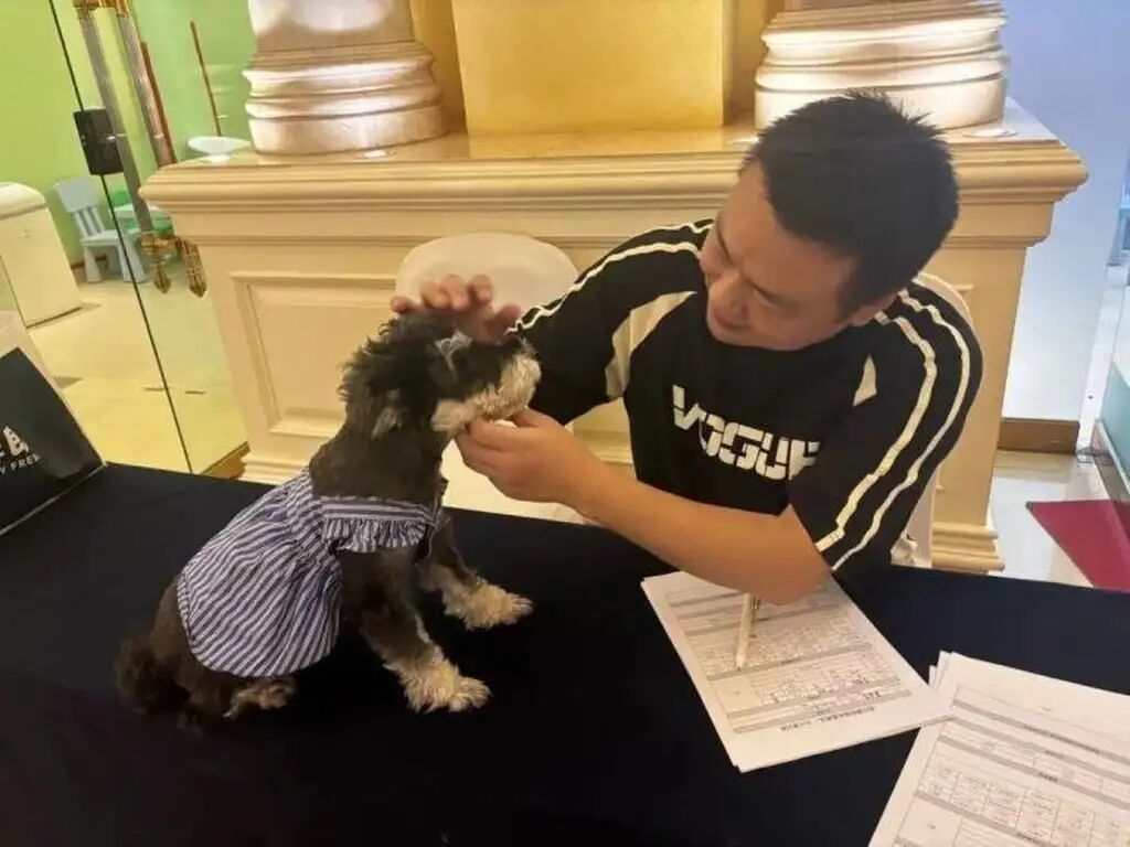 The health of the dogs is checked and they are all vaccinated before taking up their duties. Photo: handout