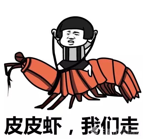 最近,海鲜界的小弟【皮皮虾】成了表情包界的扛把子,在朋友圈和微博呈