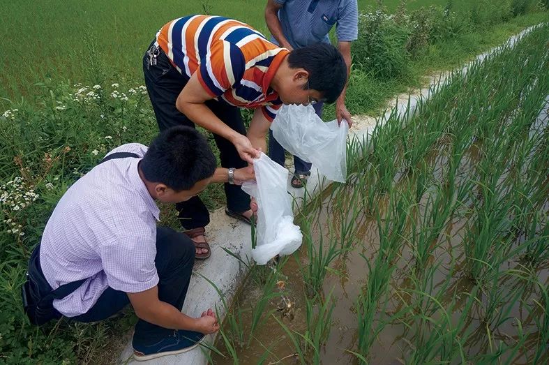 致富养鱼视频_致富经养鱼视频大全集_养鱼致富经