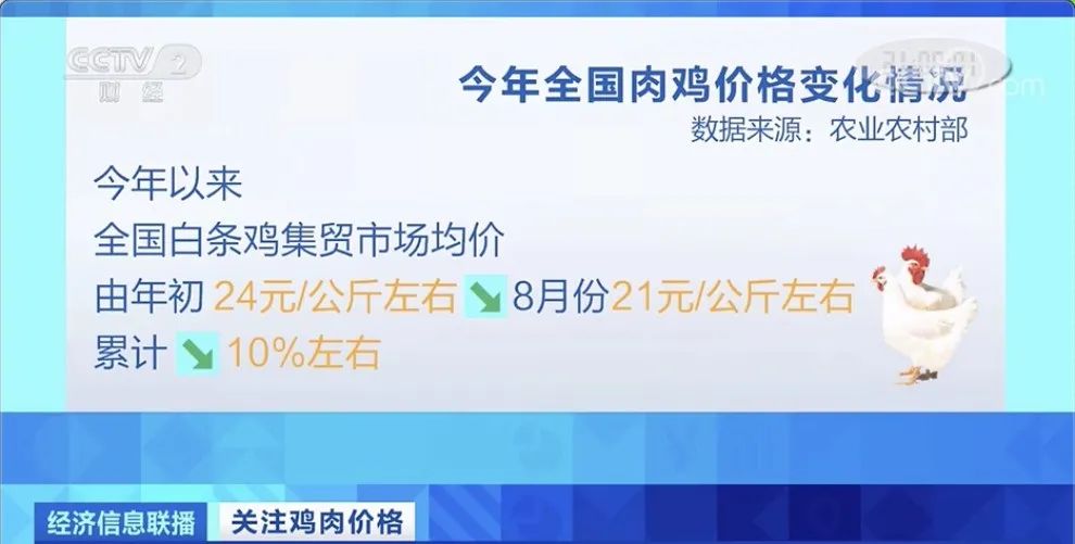 養一隻賠10元！「降價潮」來了？三年來首次下降，超市還打折促銷！今晚吃「雞」嗎？ 財經 第5張