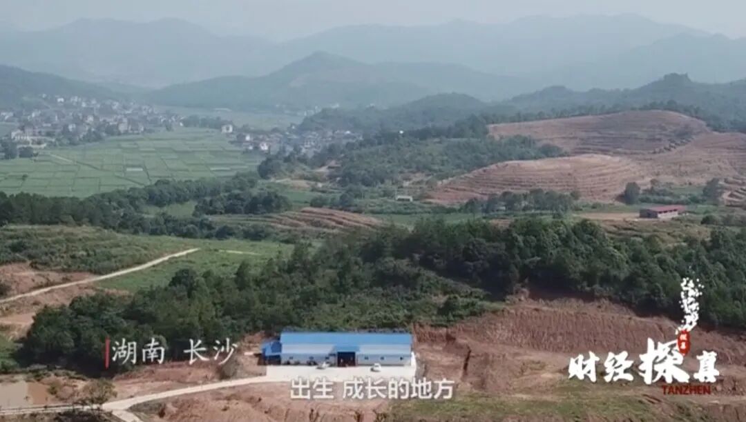 大起底！他掀起400多亿风浪！