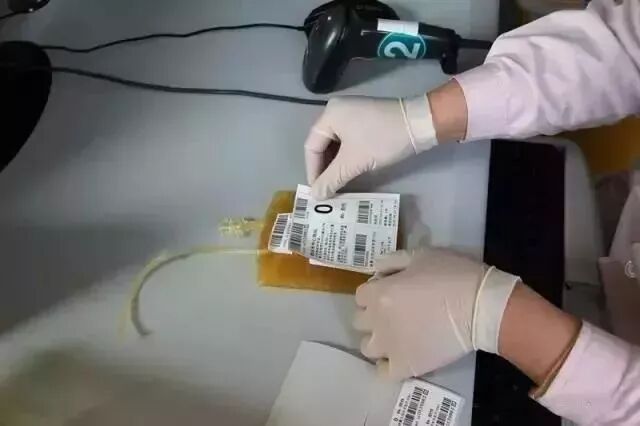 血袋号是什么采血袋上贴的标签是什么东东？_https://www.jmylbn.com_新闻资讯_第4张