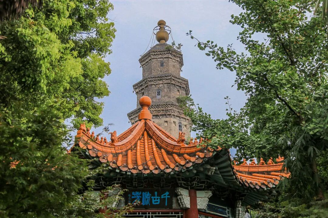 用"国色"打开荆州的春天