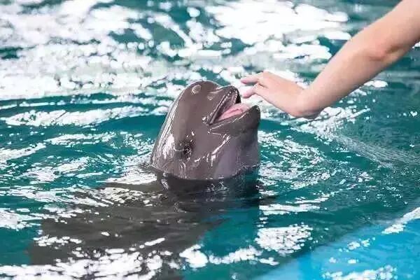 N2Y_3562 副本 2.jpg